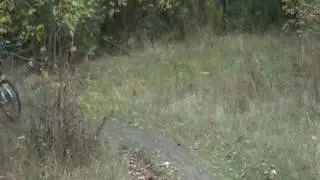 MOV057