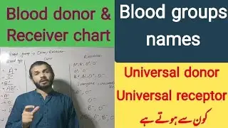 Blood donor and receiver chart / blood group chart / universal donor and receptor