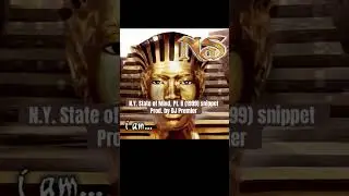 Nas - N.Y. State of Mind, Pt. II (1999) snippet #90sHipHop #Nas #DJPremier