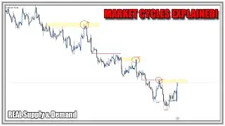 Market Cycles Explained | How to Identify REAL Supply & Demand - Forex Secrets