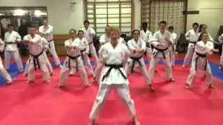 Seitou Ryu Karate Thrust Of Freedom Kata