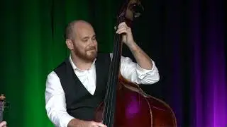Moss Park Strings - Live Performance in the Treehouse at Full Sail University