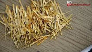 🔌💰 Search for Gold-Plated Pins in Old Electronics &ndash; Hidden Gold for Recycling!