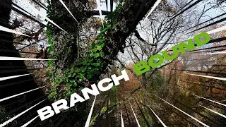 Deep in the Jungle vol.15 | FPV Slow & Proximity | Branch Bound