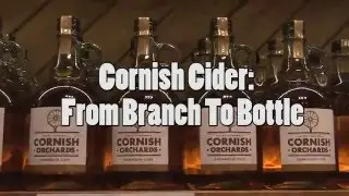Cornish Cider: From Branch To Bottle