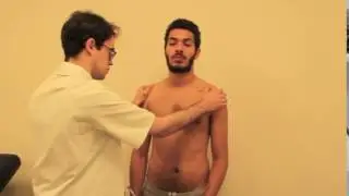 Tonus des membres supérieurs