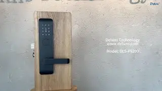 Smart Hotel Door Lock Demo | Touchless & Keyless Entry  Deluns DLS-P8200
