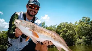 Catch BIG Saltwater Fish With Cut Bait + Grayfish Tag Research!