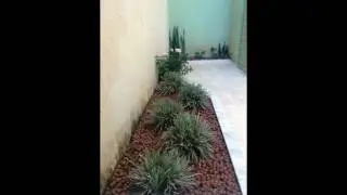 Pablo corretor de imoveis -Apartamento de 2 quartos todo montado bairro santa Cruz - Foto