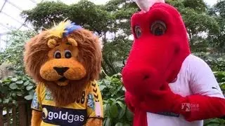Making of: Der neue Maskottchen-Spot der DKB Handball-Bundesliga
