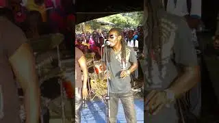 Mega B. live performance
