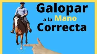 Sacar un Caballo a la Mano Correcta ✅   - Como sacar un caballo al galope