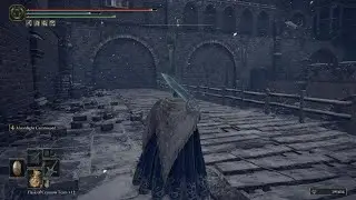 ELDEN RING_Let's Play - Part 182 - Castle Sol Once Again