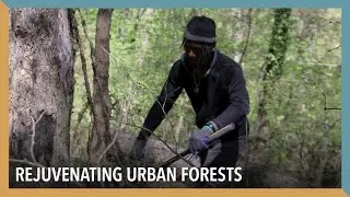 Rejuvenating Urban Forests | VOA Connect