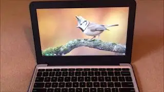 Обзор ASUS Chromebook C202SA-YS02 11,6