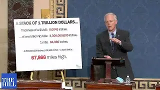 Chuck Schumer SLAMS CONSPIRACY THEORIST senator for his delay tactics