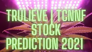 Trulieve | TCNNF 10x Buy Now in 2021?!