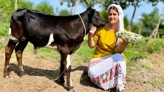 Making Cheese from Fresh Cow's Milk and Cooking Pasta with Spinach by a Village Woman