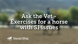 Ask the Vet - Exercises for a horse with SI issues