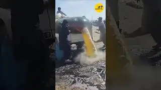 Pak Iran Border Diesel Smuggling 🤯 #facts #shorts facts