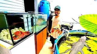 MONTEI UM AQUÁRIO COM ÁGUA DO MAR PRAS MINHAS CRIATURAS MARINHAS