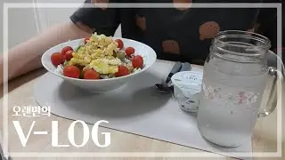 vlog)심심한 하루/생존신고