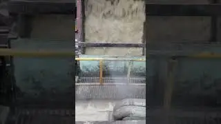 #bagasse  #materials production video 7 #sugarcane #biodegradable #tableware #compostable #pfas free