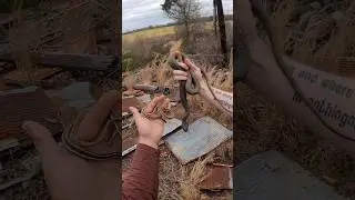 So many snakes in this fallen barn ! #herping #snakes #fyp #reptiles
