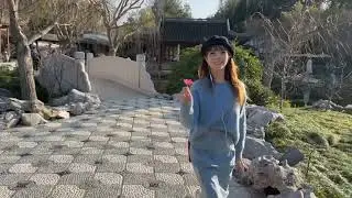 Getting to know you from King and I (Musical Cover) by Sarah Z Wang