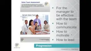 Manager's Playbook: Using Team DISC Assessments for The Manager