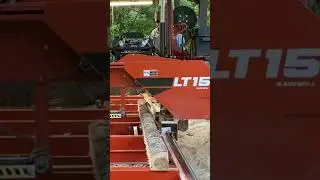 Fourth Slab on Smallest Log I have Sawed