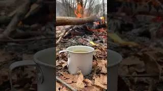 Drinking mountain tea by the fire #bushcraft #fire #tea #nature #asmr #relax