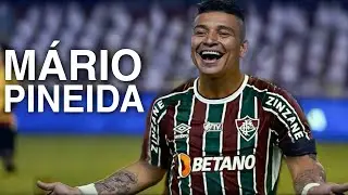 LANCES DE MARIO PINEIDA NOVO REFOR&Ccedil;O DO FLUMINENSE !
