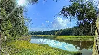 EarthCam Live:  Amazon Rainforest Cam (Madre de Dios, Peru)