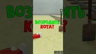 ЗАКОПАТЬ или ВОЗРОДИТЬ кота в игре Мертвые рельсы | Dead Rails roblox | Выбери что делать #Shorts