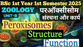 Peroxisome Structure & Function in Hindi/BSc  1st Semester Zoology//परऑक्सीसोम की संरचना और कार्य