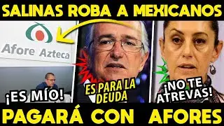 SE AGARRA A LOS MEXICANOS DE SU PUERQUITO! SALINAS SACA LANA DE AFORES PARA PAGAR MULTON