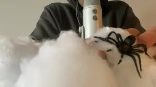 ASMR Pulling Spiders from Your Face 🕷️ | Mouth Sounds + Web Mic Brushing 😴