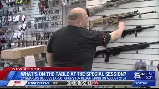 What's on the table at Tennessee's special session?