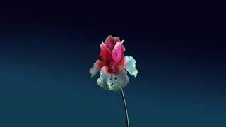 Flume - Jewel