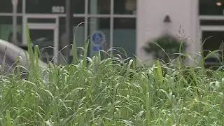 City of Austin breaking mowing rules that you have to follow