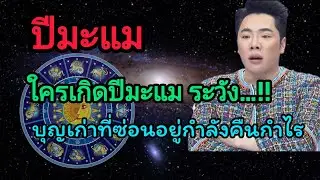 ปีมะแม 🔥ดวงฟื้นตัว เงินพุ่ง โชคเข้าตรงใจ ปีมะแมต้องดู!🔥