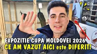 Viața la țară - Prepelițe cu fața de zombie + alte păsări exotice la Expoziția Cupa Moldovei 2026