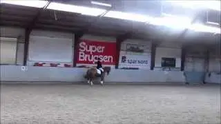 Sille og Marlotte LB2 elevst&aelig;vne marts 2014