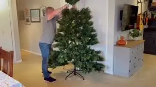 ABSOLUTELY STUNNING! National Tree Company Carolina Pine 7 5 Foot Artificial Holiday Prelit Christma