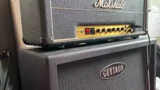 Marshall #36 Bright cap
