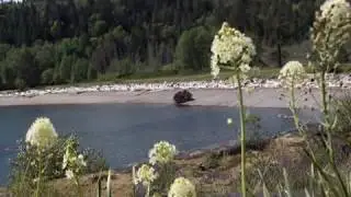 Beautiful Sunshine Coast BC Canada
