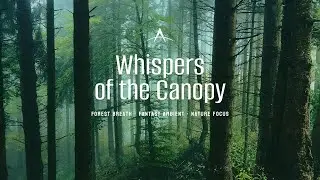 Whispers of the Canopy &mdash; Arctesia: The Sylvan Realm | Forest Breath &middot; fantasy ambient &middot; nature focus