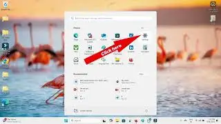 Remote Desktop Services Causes High CPU in Windows 11