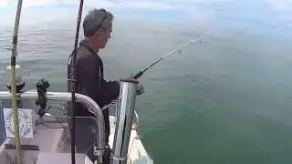 Compil p&ecirc;che 2014